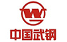 骚浪的美女免费观看